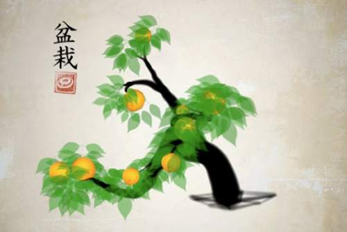 ibonsai3 ibonsai3