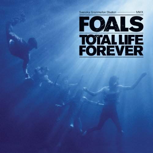 foals_