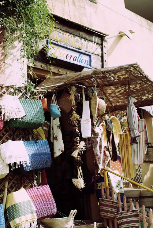 BORME_LES_MIMOSAS_4