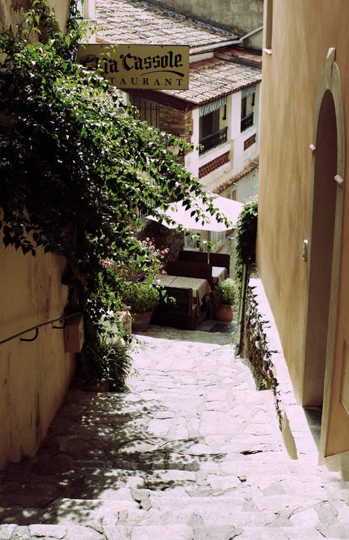 Bormes Les Mimosas