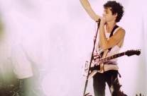 BB BRUNES #1