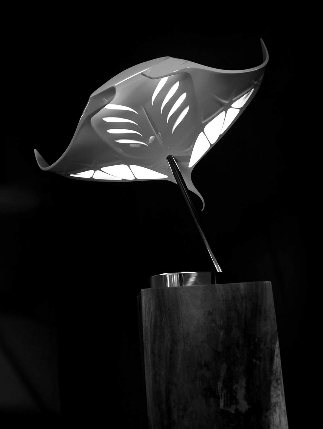 Lampe MANTA par MOVANCE x Element Design x Blossom Creative