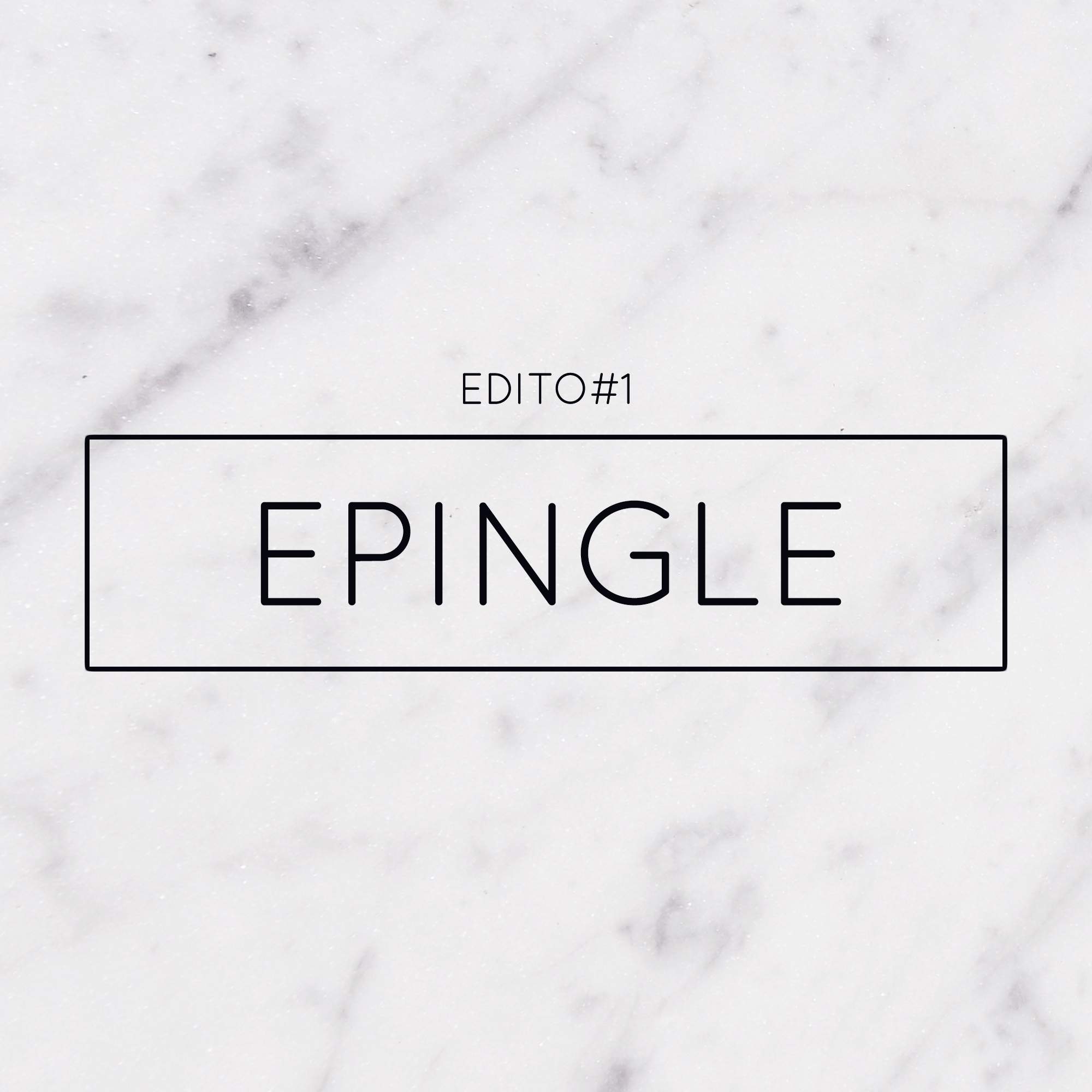 Edito #1 – EPINGLE
